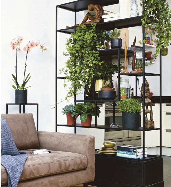 SATALAŽAPOLICA Fons 2