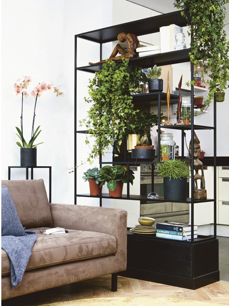 SATALAŽAPOLICA Fons 2