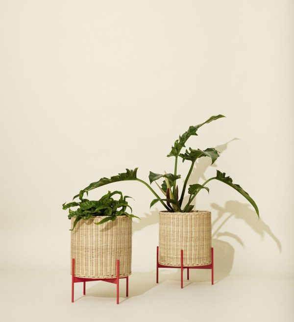 Splint Pot Prirodnacrvena 1