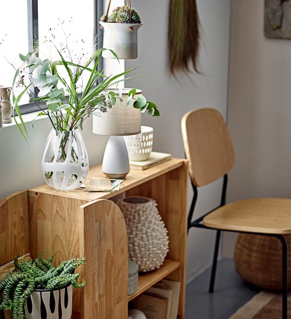 POLIČAR ALEC, NATURE, Kaučukovo drvo5